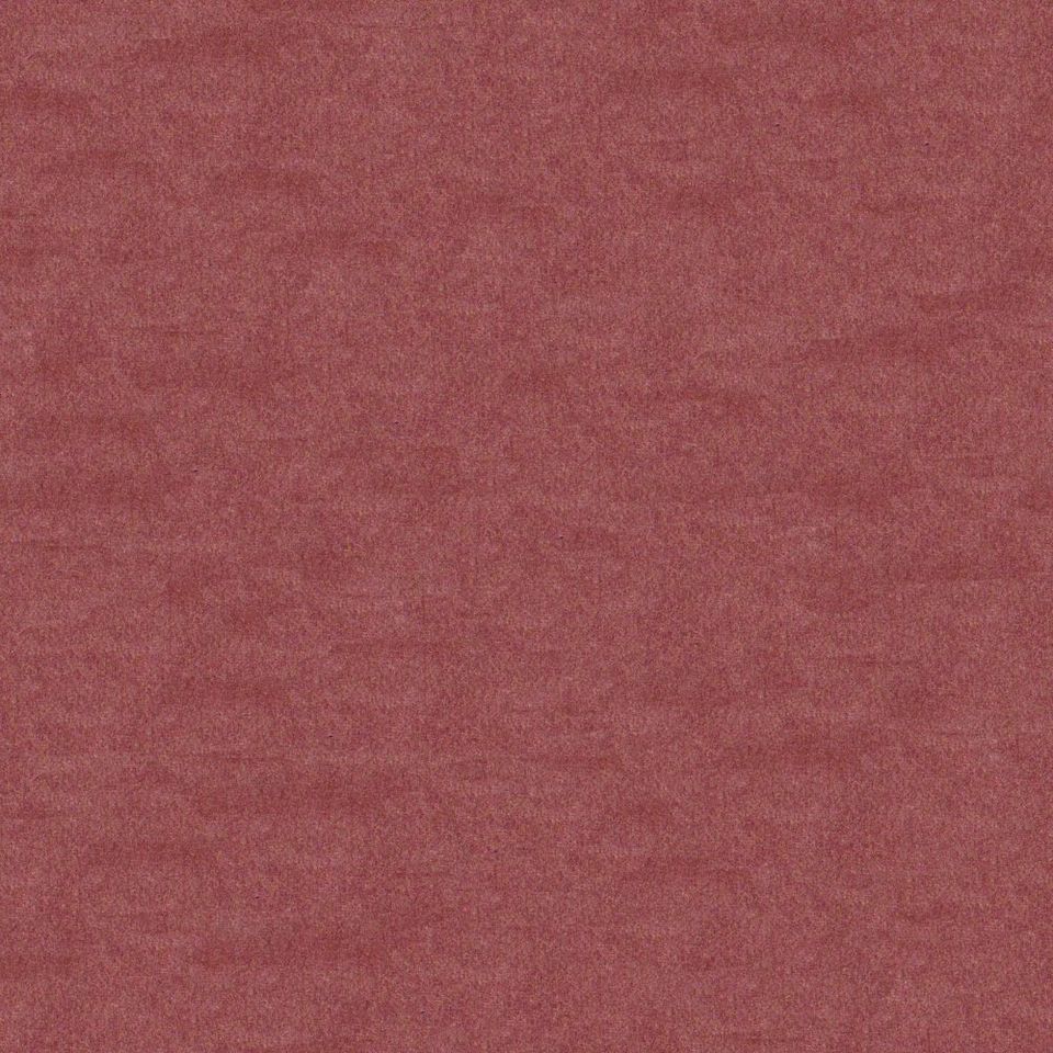 Focus - focus_001