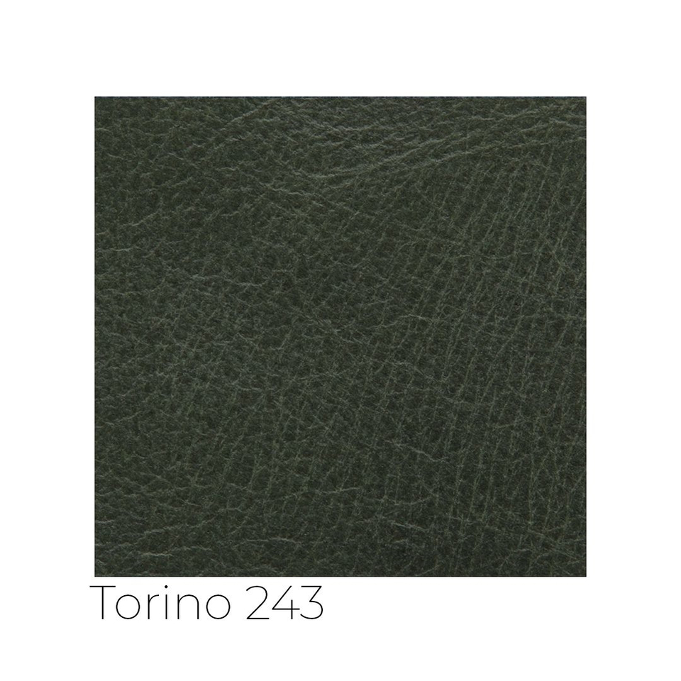 Torino - tor_001