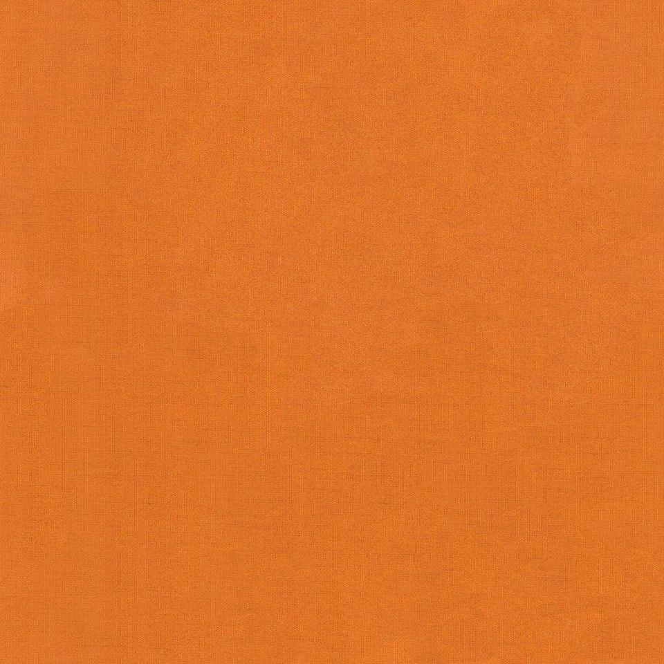 Tuyo - tuyo_001