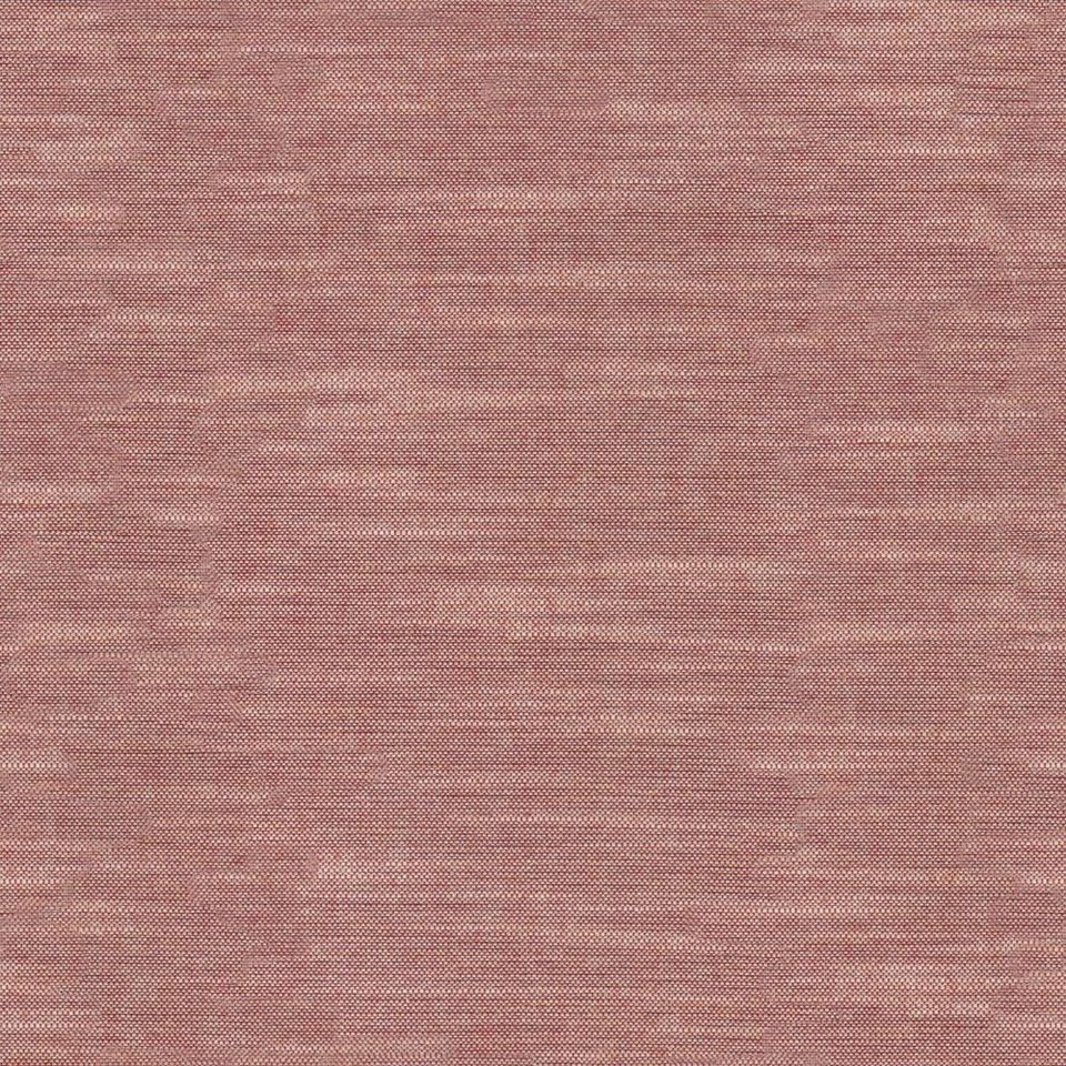 Tetra - tetra_001