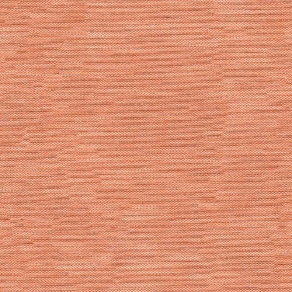 Tetra - tetra_001