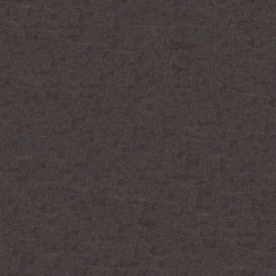 Focus - focus_001