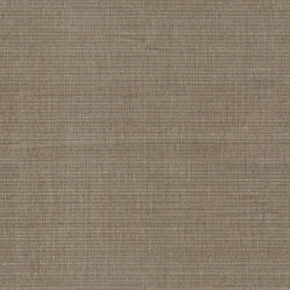 Hazel - hazel_001
