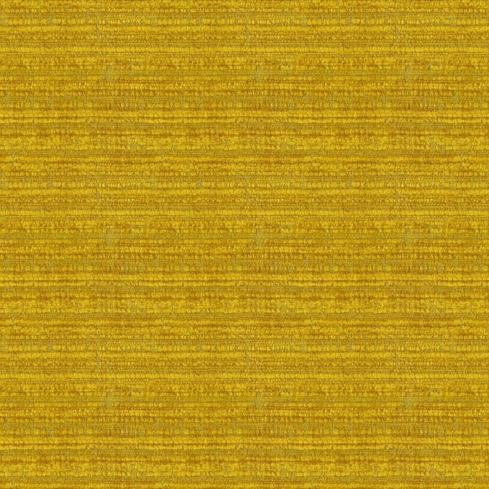Kunter - kunter_001