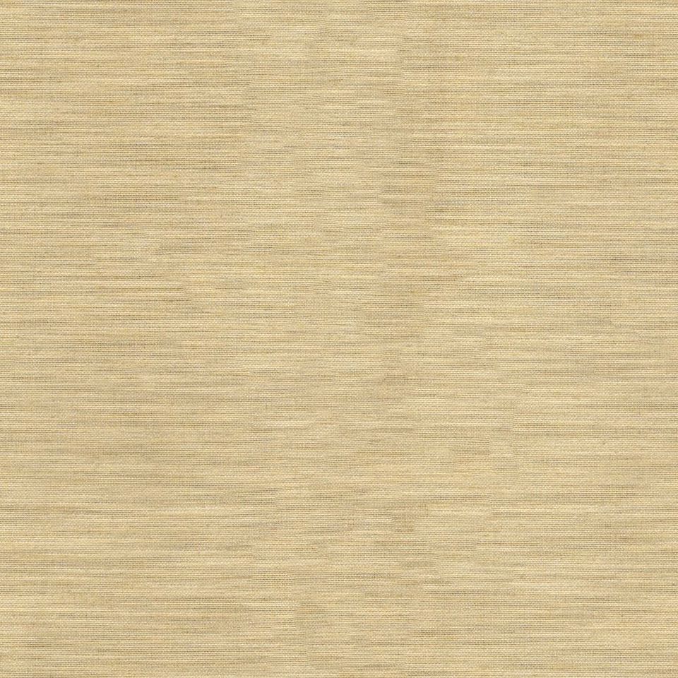 Tetra - tetra_001