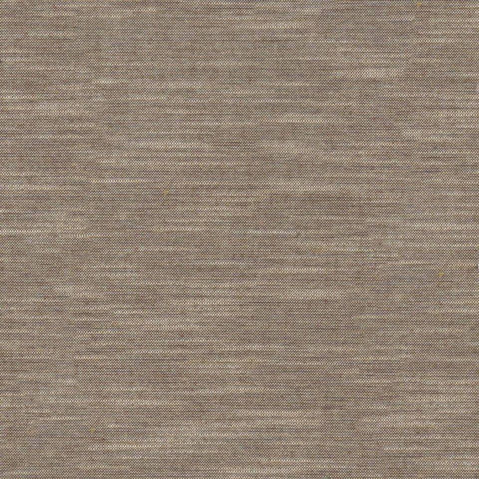 Tetra - tetra_001