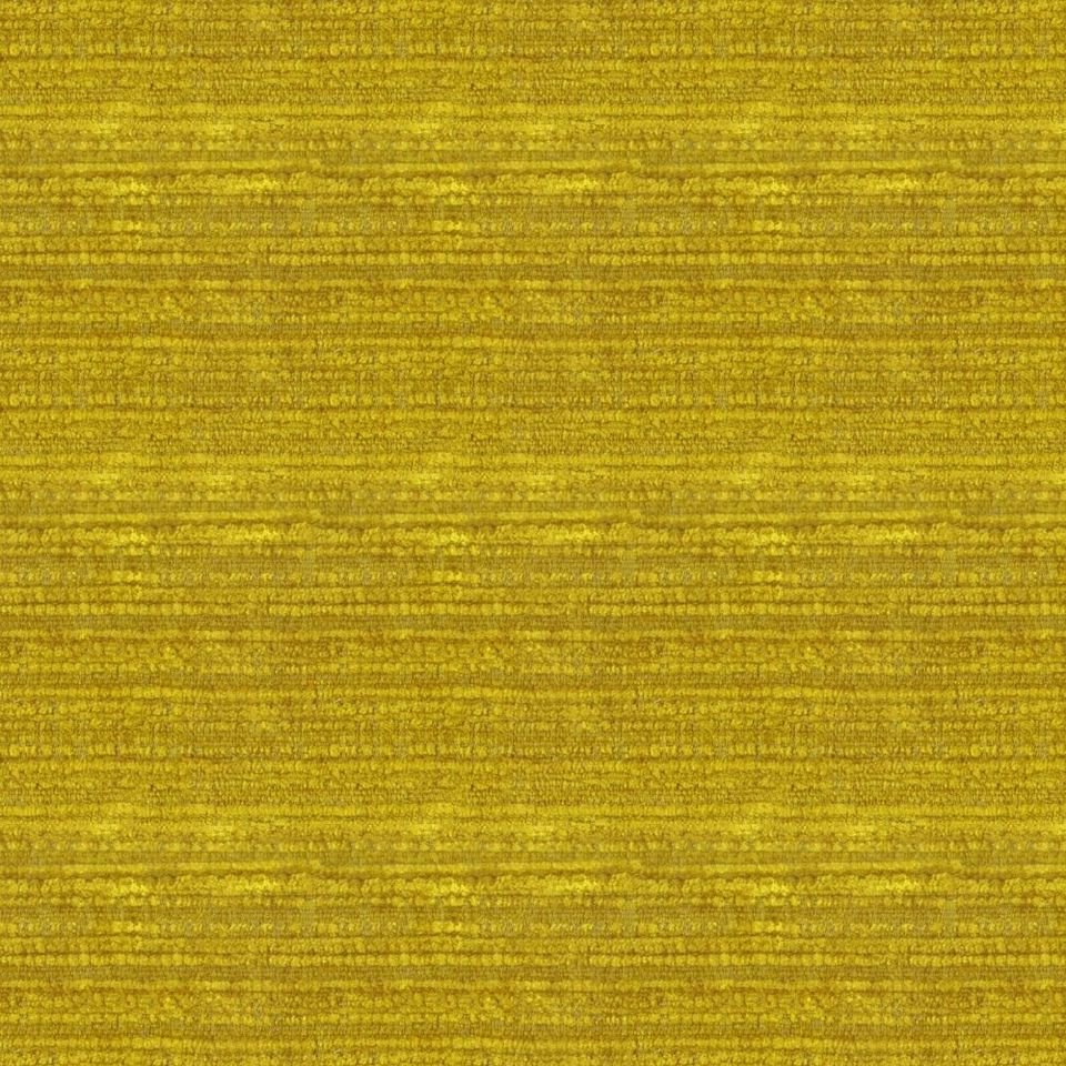 Kunter - kunter_001