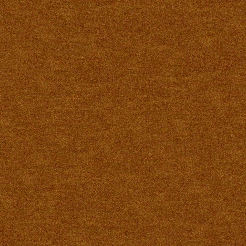 Focus - focus_001